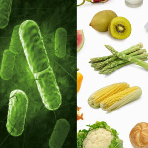 patogeni uzrocnici u hrani